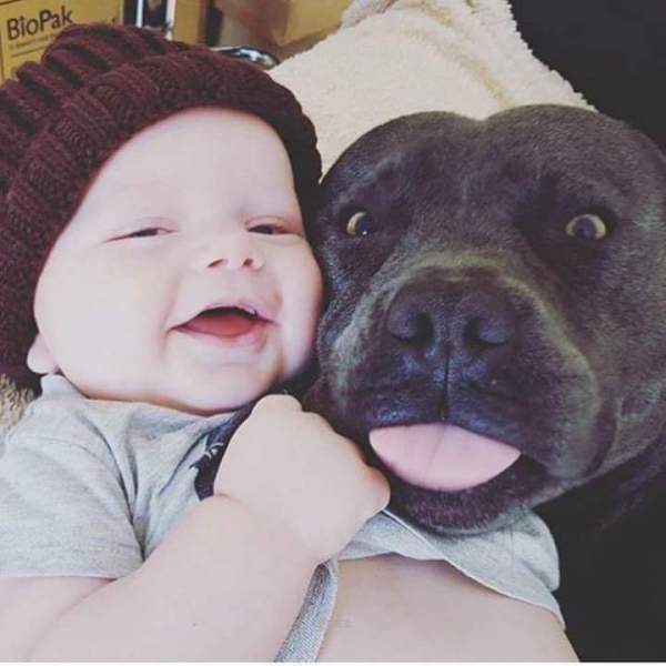 bebe e cachorro